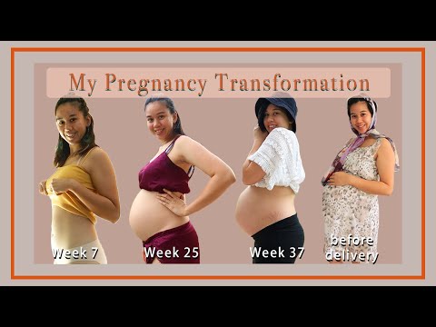 Pregnancy Transformation ｜ week by week progress 怀孕肚子过程变化 | Elicia Lo
