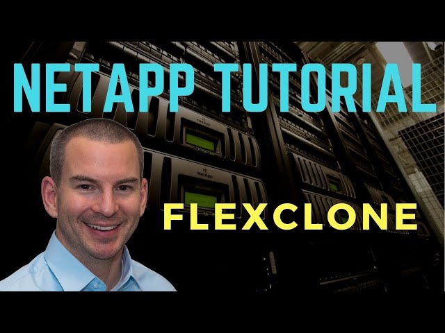 Quickly Check FlexClone Status: NetApp Guide 3 sddefault