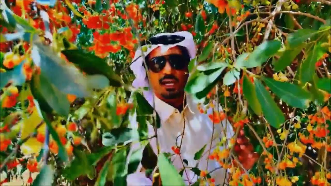 Cordia sinensis Desert fruit البمبر البري  فاكهة الصحراء الغرف الإسحل