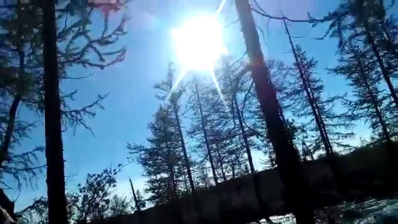 Хижина в лесу 2 YouTube