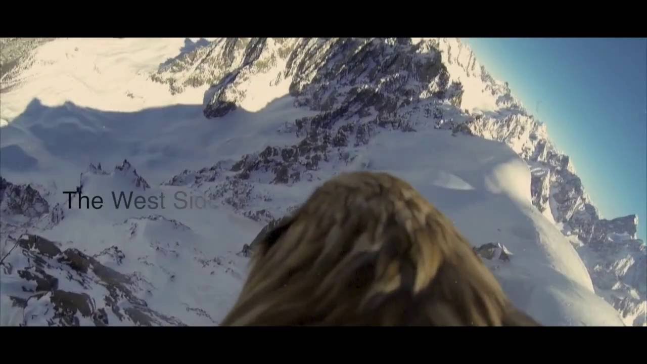 DON DILEGO - West Side Oak