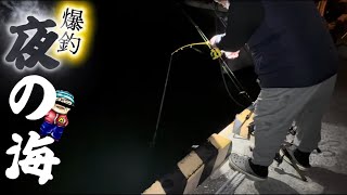 【宮城釣り】閖上港にあのお魚さんがご来港してきましたよー！！【爆釣】