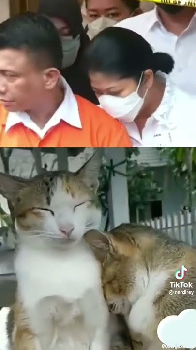 Parodi ferdi sambo dan istri putri candrawati