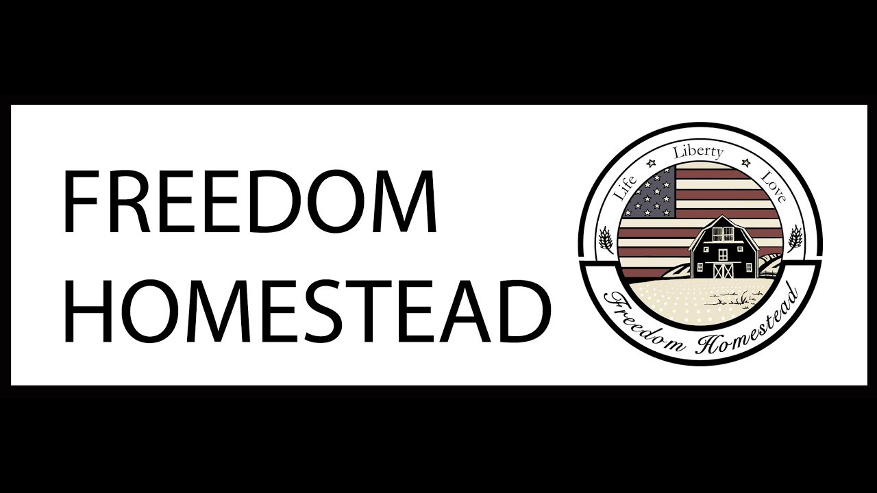 LIVE with Freedom Homestead 1/21/19 YouTube