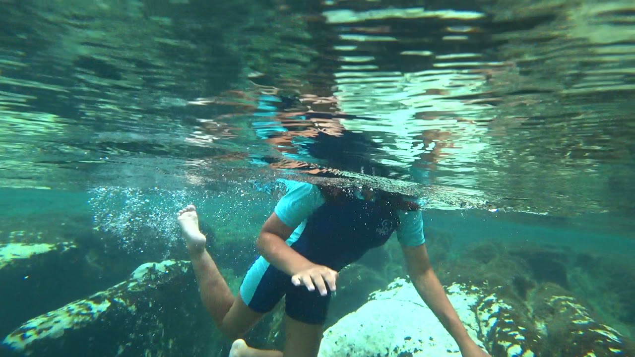 Video 4, Salt Springs, Fl YouTube