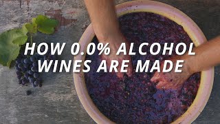 How 00 Nonalcohol Wines Are Made And What Makes Them Different