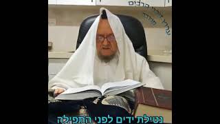 *הלכה יומית מפי מרן ראש הישיבה רבנו מאיר מאזוז שליט״א  נטילת ידים קודם התפילה (ג'רבה)