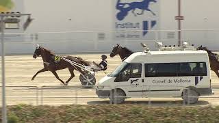 Vidéo de la course PMU PREMI MARCELLO D