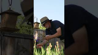 A Gardener&#39;s Perspective #shorts ~ Full Video Now Playing on Our Channel