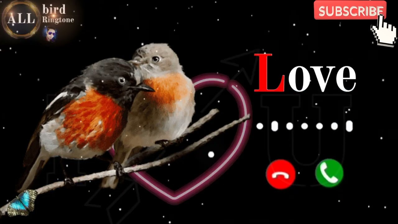 best Ringtone, Robin birds voice love ringtone / All birds Ringtone