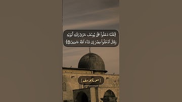 سورة يوسف الآية ٩٩ بصوت الشيخ محمد صديق المنشاوي