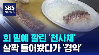 회 밑에 깔린 '천사채'...살짝 들어봤다가 '경악' / SBS / 오클릭