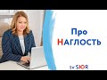 Наглость и счастье, в чем разница? Как стать счастливым?