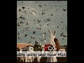 يارب حياة هنيه تزهر روحي وقلبي