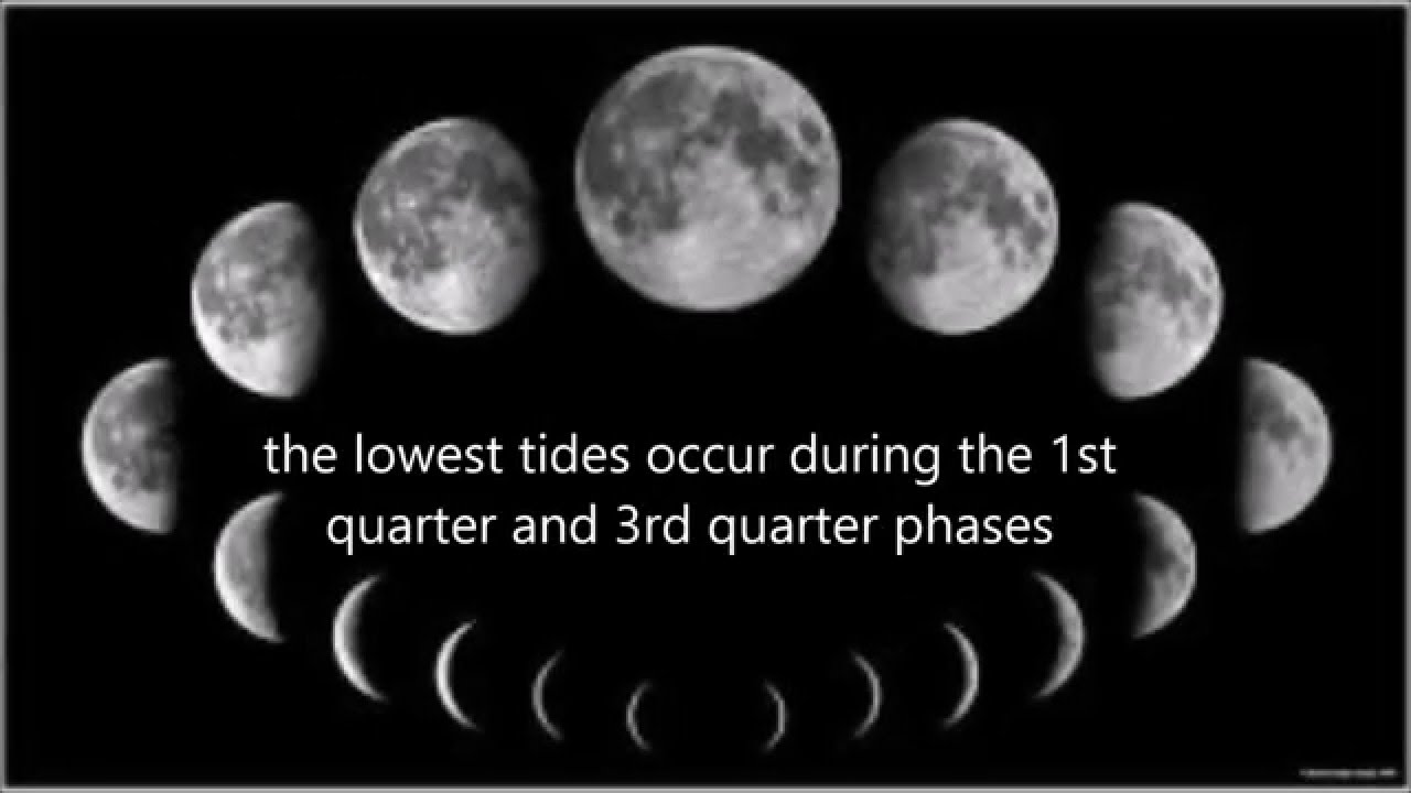 Moon phases. The moon on 13 сентябрь. Земля луна солнце. Moon moves round earth. Снимки земли с луны.