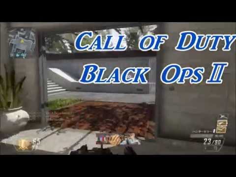 BO2のオープニング！！！ジャンヌさんにもらいました!