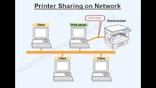 Ultimate Guide to Printer Sharing on Windows &amp; Mac