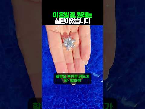 이 은빛 꽃, 원래는 실탄이었습니다 thumbnail