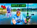 BEETLE Lure Fishing Challenge (HUGE BASS CAUGHT!!)
