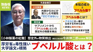 【プベルル酸】専門家「毒性強いと言い切るのは難しい」マウス５匹中４匹死んだ...論文は「マラリア感染させたマウスでの実験」小林製薬の紅麹問題【MBSニュース解説】（2024年4月1日）