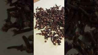 Гвоздика (Syzygium aromaticum) – натуральное лекарственное сырьё