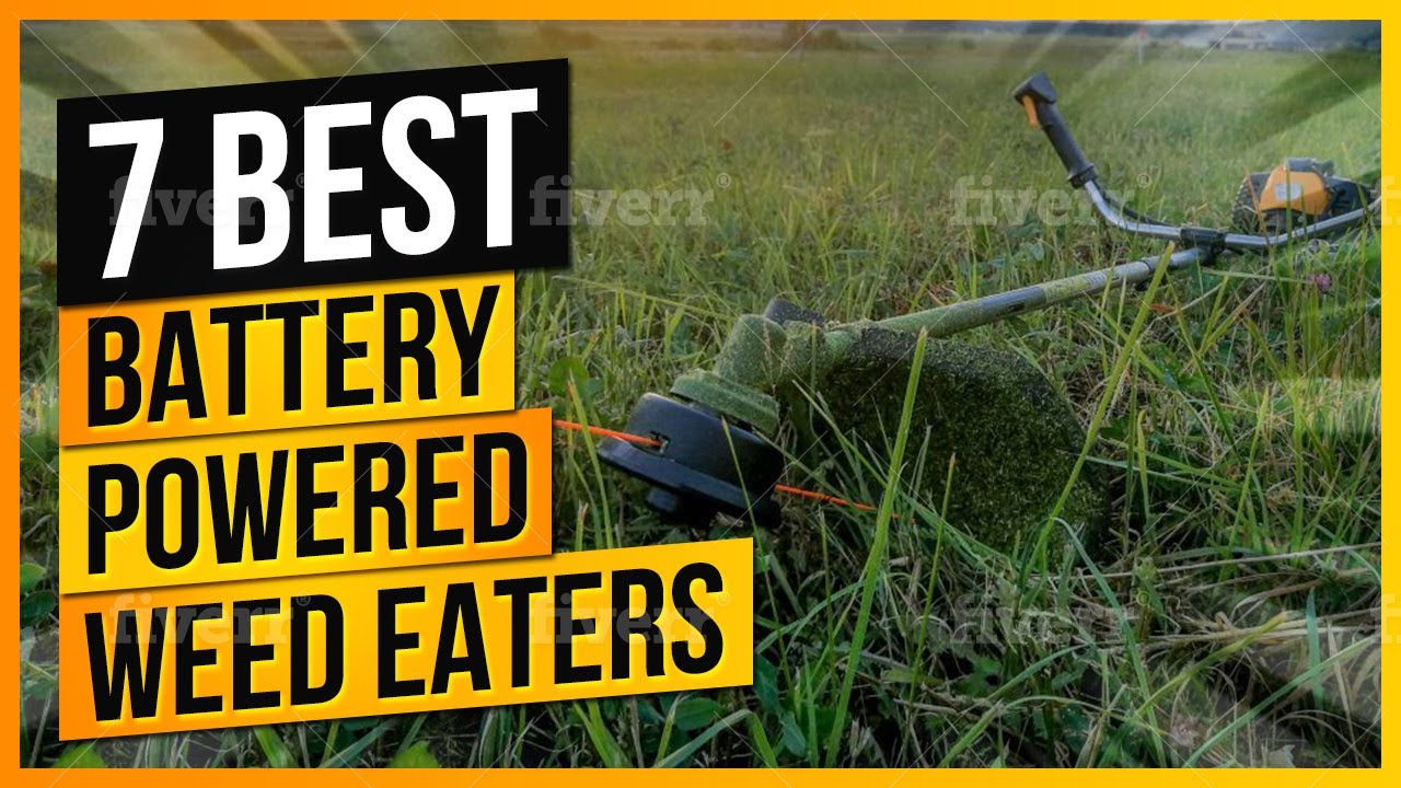 top 5 battery powered weed eaters
