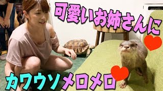 あにまるずの動物たちと可愛いお姉さん