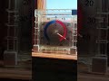 ЕЩЁ ВЧЕРА БЫЛО 40+ ПО ЦЕЛЬСИЮ ХАРЬКОВ #коллекционированиемонет #coin #барахолкакупить #watch #rap