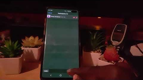 Zoom See all Participants Mute All