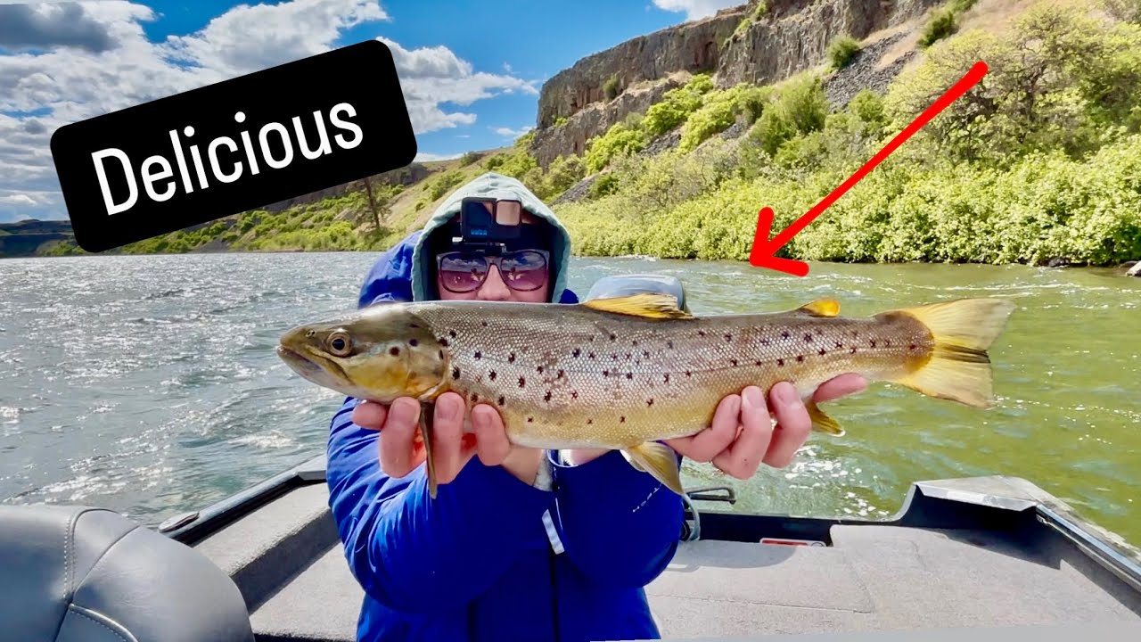 Catching Trout at Rock Lake (Windy)