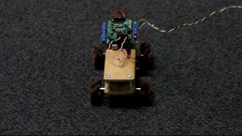 Mecanum Robot Side-to-Side Test.
