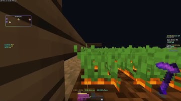 Hypixel Skyblock 70mil/hour Carrot Macro Taunahi + Oringo