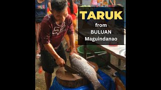 TARUK from Buluan, Maguindanao, BARMM