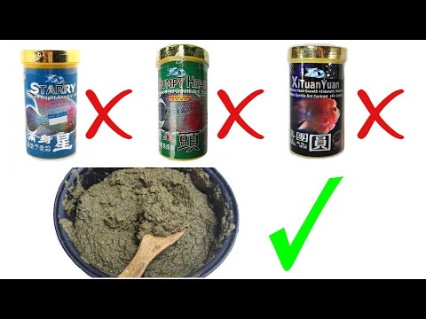 how-to-:-make-flowerhorn-food-secrets-revealed