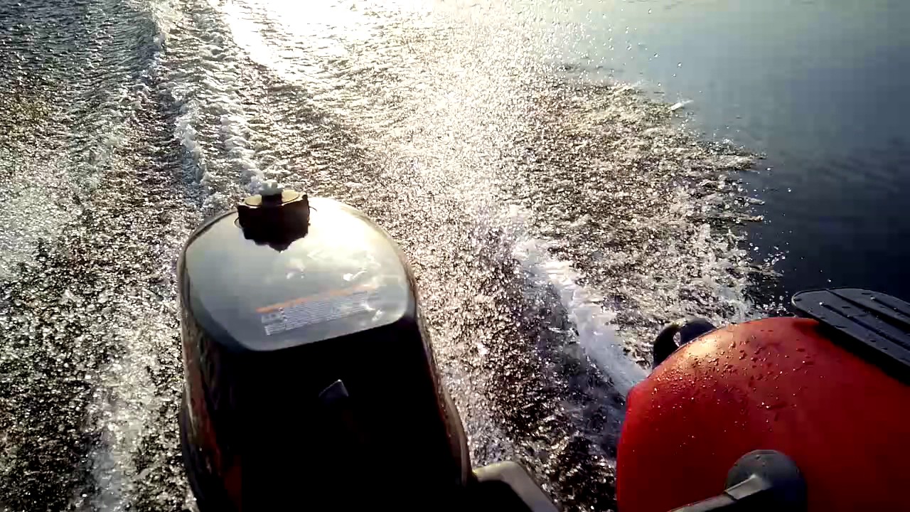 Голодные моторы красное село
