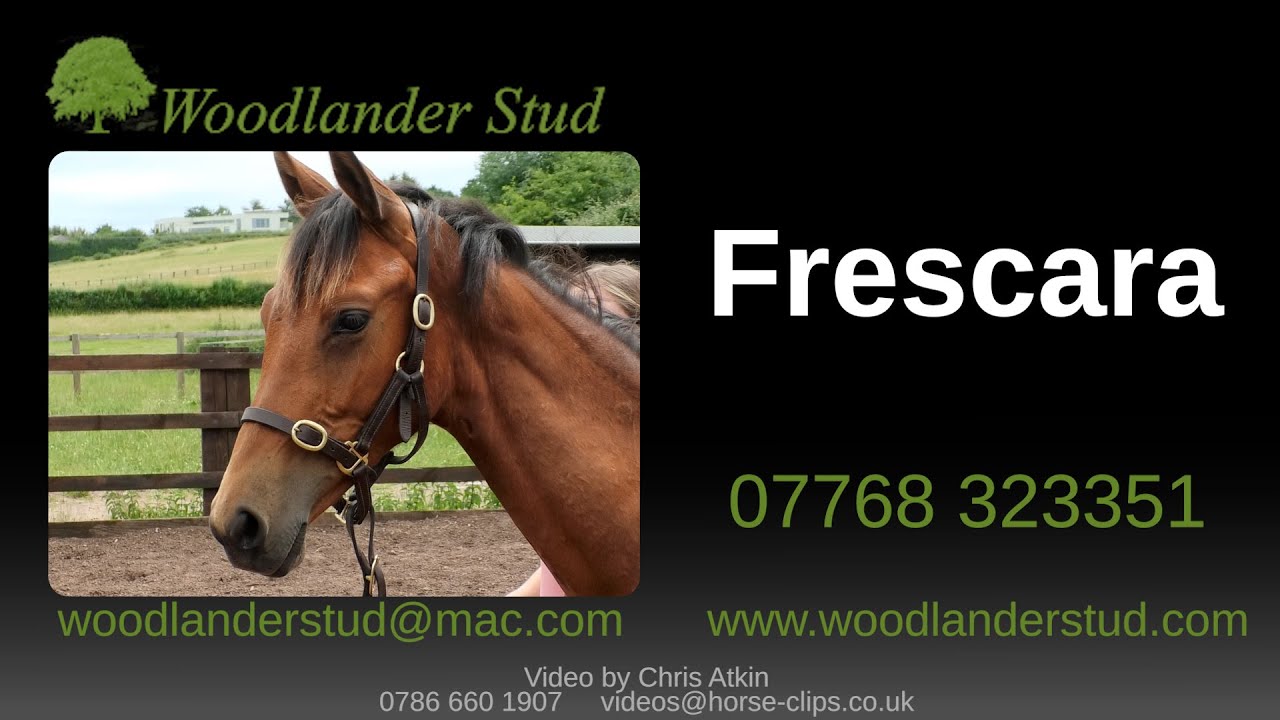 Woodlander Stud: Frescara by Franklin