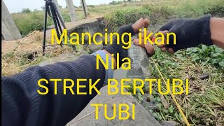 Tehnik Mancing ikan Nila Pake Umpan cacing•√