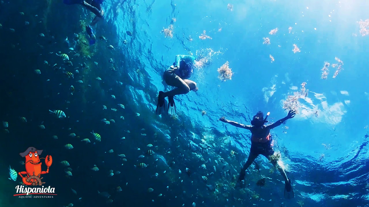 HISPANIOLA AQUATIC ADVENTURES PUNTA CANA / SNORKELING YouTube