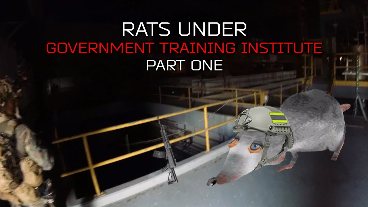 Rats under Government Training Institute | Stonebreaker 2022