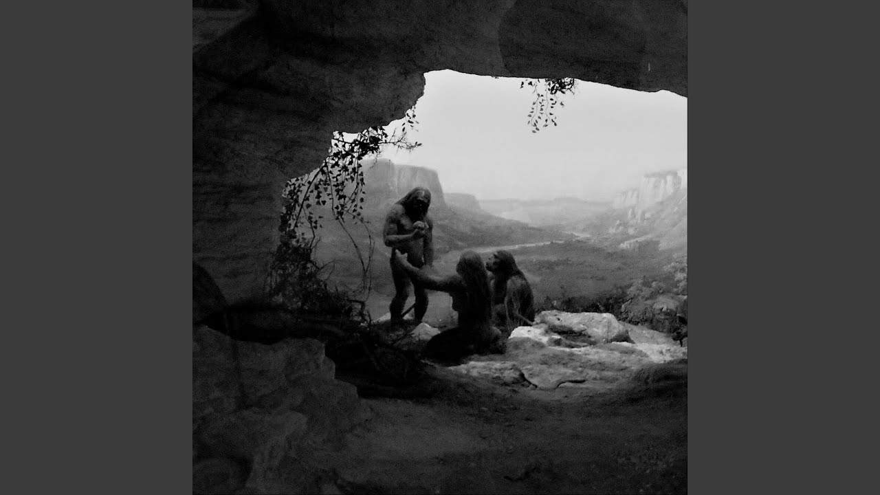 Slip the Leash YouTube