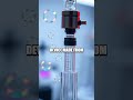 The Bubble Snapping Pop Experiment