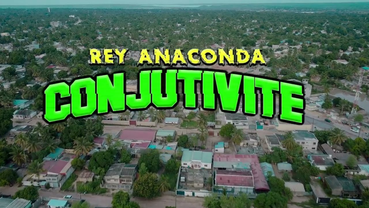 Rey Anaconda   Conjutivite