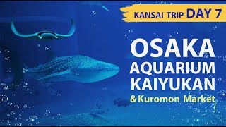เที่ยวพิพิธภัณฑ์สัตว์น้ำไคยูคัง โอซาก้า พร้อมแผนเดินทาง Osaka Aquarium KAIYUKAN | KANSAI TRIP DAY 7