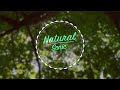 NaturalSonic 「healing forest」
