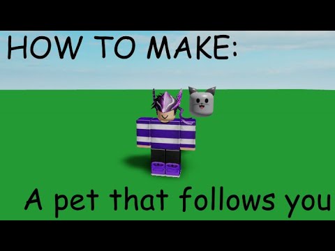 How To Make A Pet That Will Follow You Roblox Youtube - neighborhood of roblox how to make your character a dog