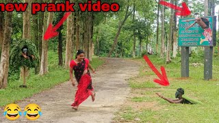prank videos |tree prank video