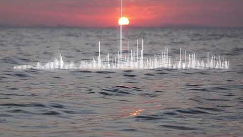 A.M Owl - Disconnected