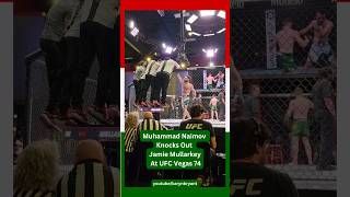 Tajikistan&#39;s Muhammad Naimov Knocks Out Jamie Mullarkey At UFC Vegas 74! 🇹🇯👊 Octagonside View! 💥🔥