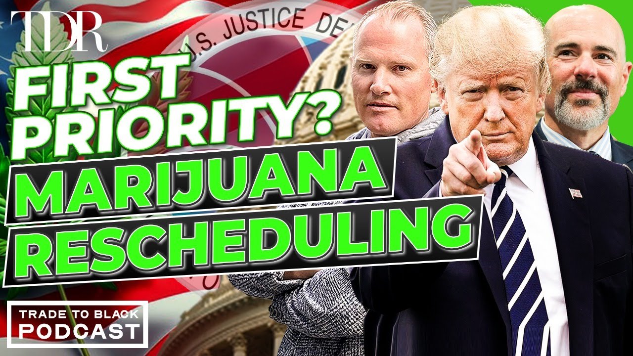 Кандидат Трампа в DEA подает сигнал о смене статуса каннабиса | Trade to Black