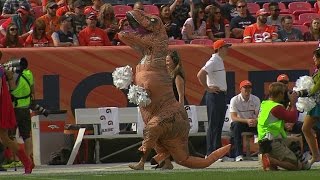 Broncos Cheerleaders Dresses Up As Dinosaur For Halloween